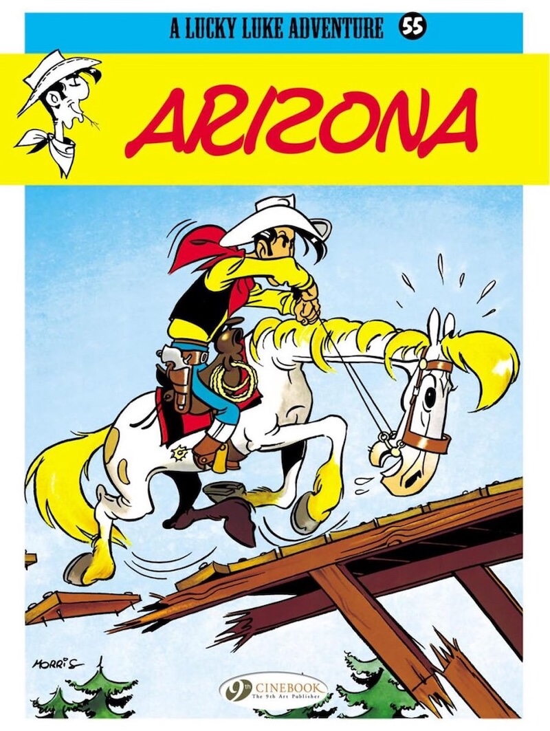 Arizona book cover