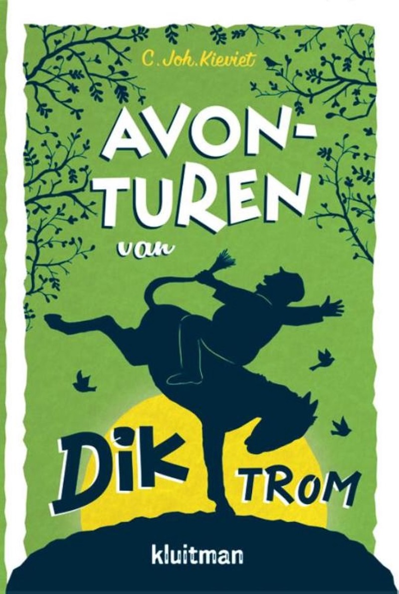 Avonturen van Dik Trom book cover