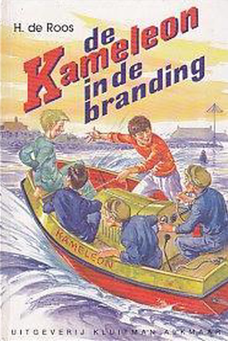 De Kameleon in de Branding book cover