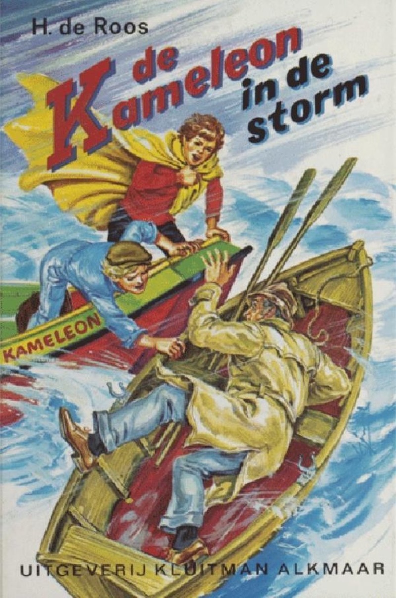 De Kameleon in de Storm book cover