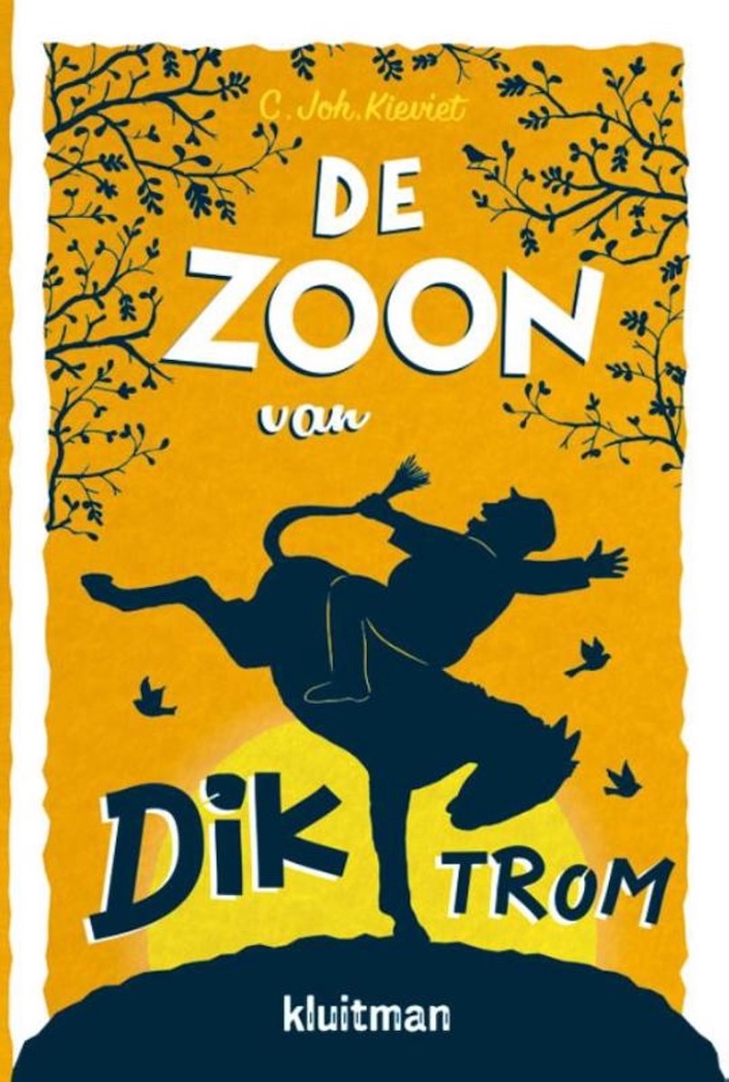 De Zoon van Dik Trom book cover