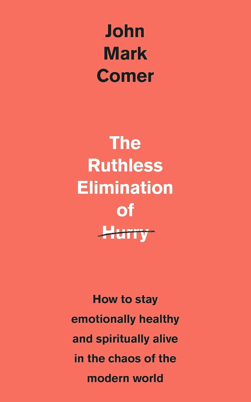 The Ruthless Elimination of Hurry book cover
