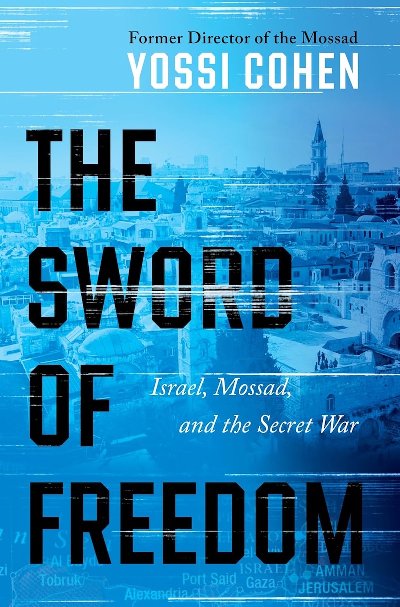 The Sword of Freedom book cover
