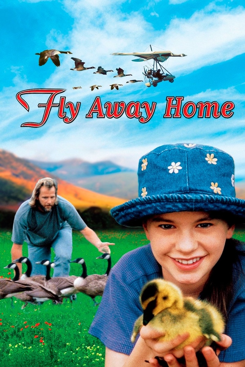 Fly Away Home movie poster